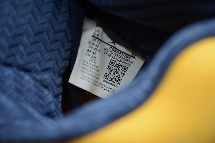 Air Jordan 5 SP “Michigan” (Inspire) CQ9541-704