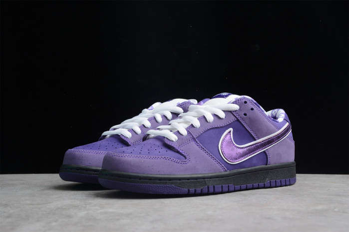 Concepts X Dunk Low SB