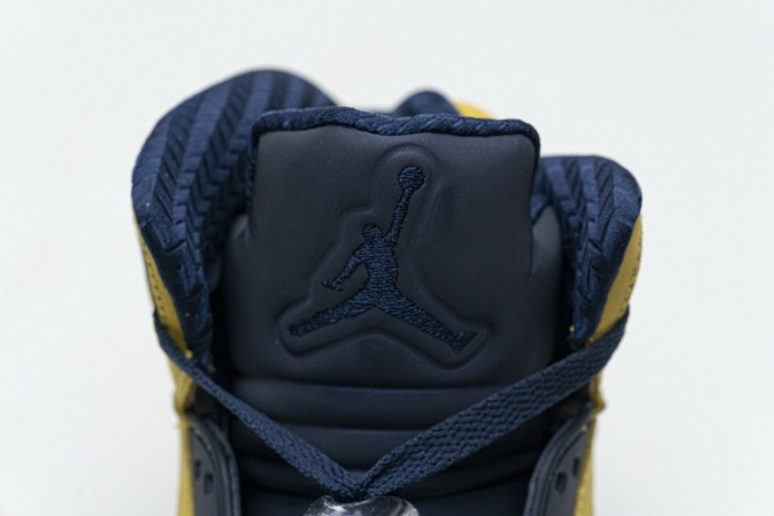 Air Jordan 5 Retro T23