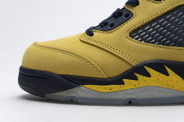Air Jordan 5 Retro T23