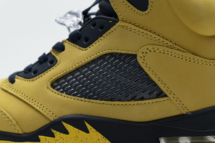Air Jordan 5 Retro T23