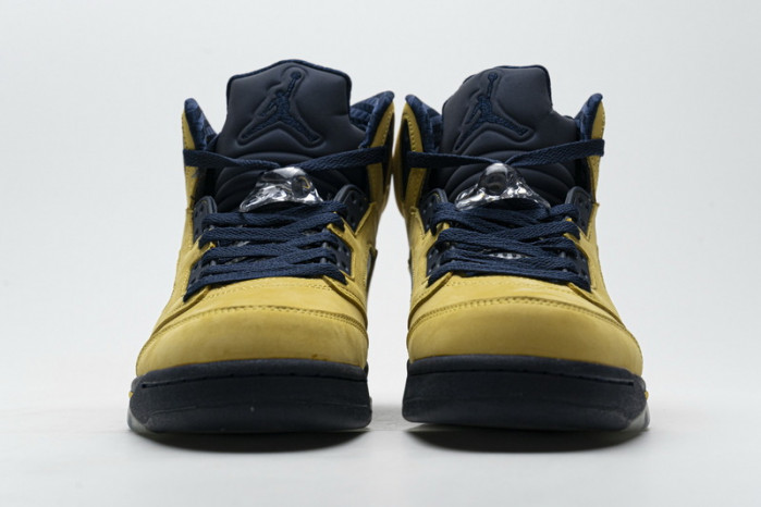 Air Jordan 5 Retro T23