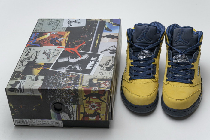 Air Jordan 5 Retro T23