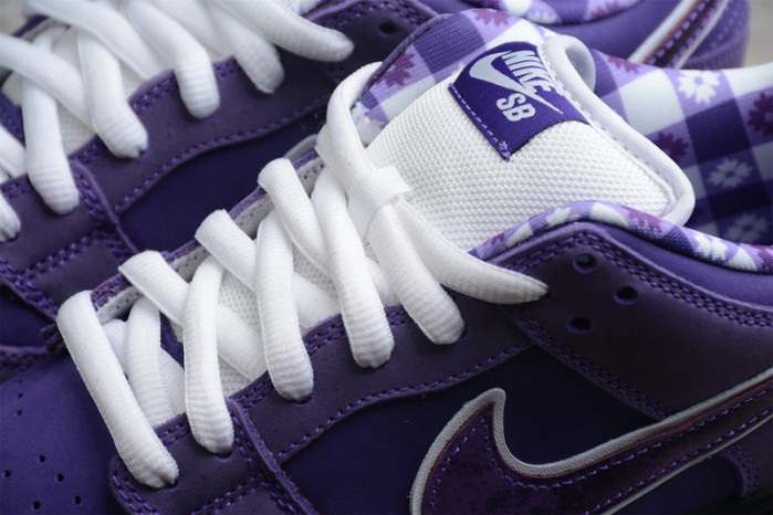 Concepts X Dunk Low SB