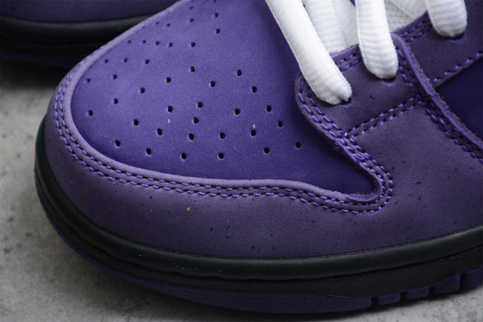 Concepts X Dunk Low SB