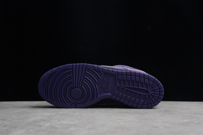 Concepts X Dunk Low SB