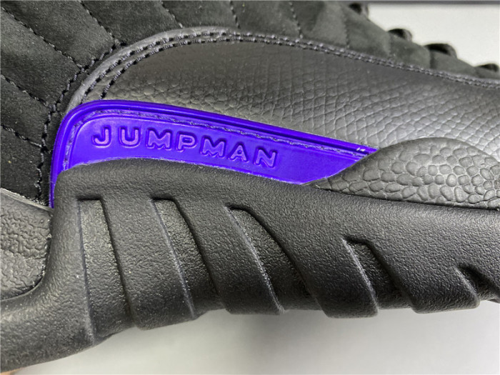 AIR JORDAN 12 Air “DARK CONCORD” CT8013-005