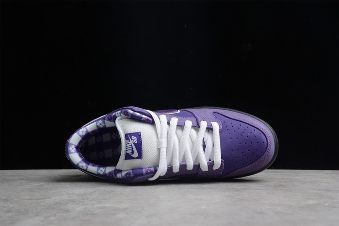 Concepts X Dunk Low SB