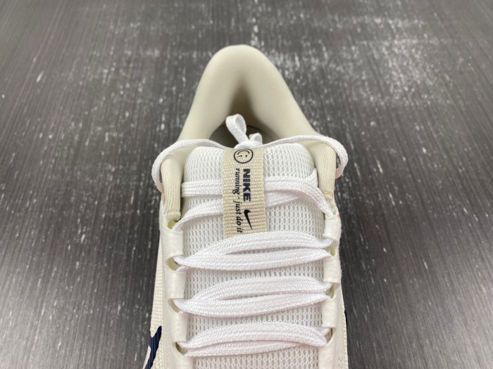 Air Zoom Pegasus 40 Wide