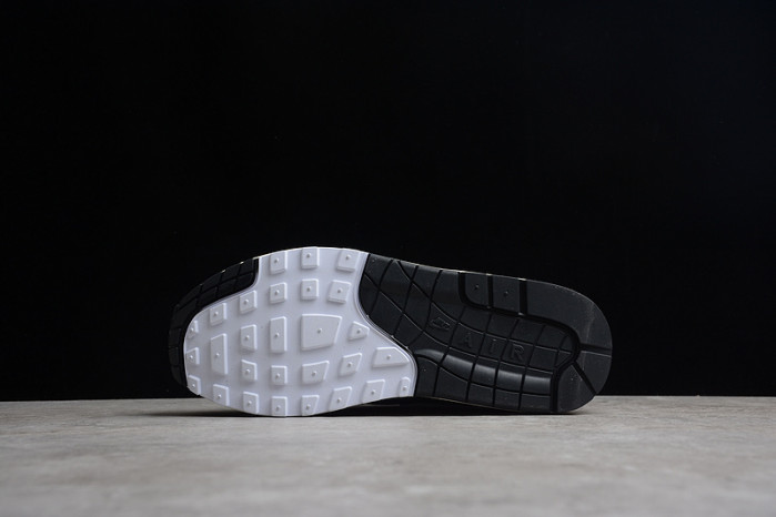 Patta Nike Air Max 1 Black Silver DQ0299-001