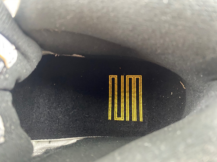 Air Jordan 11