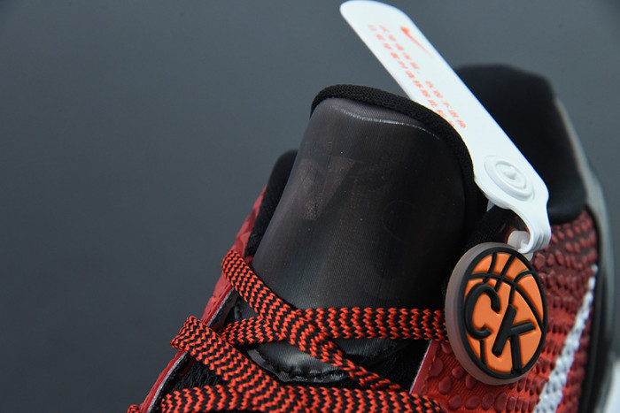 Nike Zoom Kobe 6 Protro